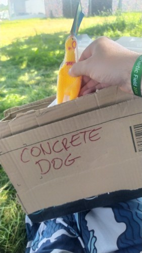 A scruffy amazon box with "concretedog" written on the front with a rubber chicken poking out. 
