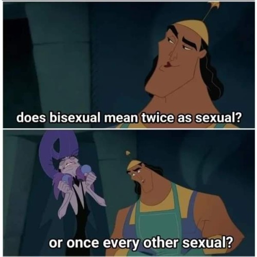 Two panels of subtitled movie frames from The Emperor's New Groove

The first one shows Kronk asking a question: "does bisexual mean twice as sexual?"

The second one shows kronk again, continuing his question: "or once every other sexual?", with Yzma's absolute frustration and agony barely contained.