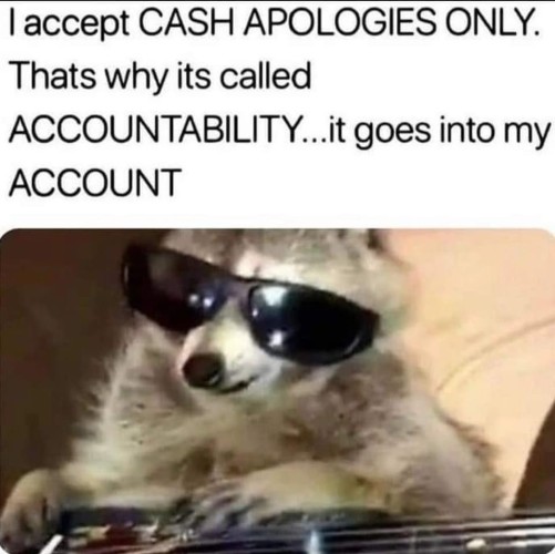 Still image. Small mammal with grey fur, possibly a raccoon, wearing sunglasses and leaning on something. Top text reads:

I accept CASH APOLOGIES ONLY.
Thats [sic] why its called
ACCOUNTABILITY...it goes into my
ACCOUNT