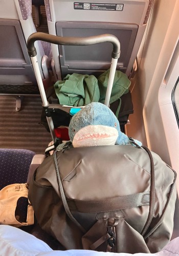 A blahaj plush strapped onto a duffel bag, resting on a train-seat. There is a barrow next to the seat 