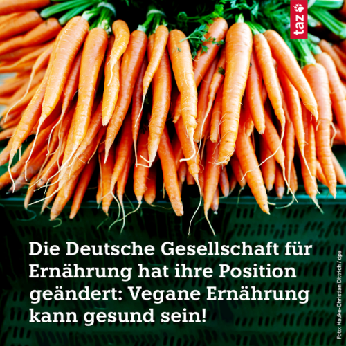 Ein Foto zeigt viele Möhren, die übereinander liegen. Darunter der Text: Die Deutsche Gesellschaft für Ernährung hat ihre Position geändert: Vegane Ernährung kann gesund sein! 