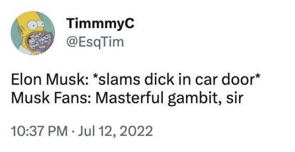 TimmmyC at Twitter: Elon Musk: „slams dick in car door“
Musk Fans: „Masterful gambit sir“