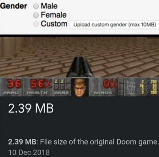 A web form, taking Male, Female, or "Custom" ("Upload custom gender (max 10MB)")

Underneath that is Doom, it is 2.39MB
