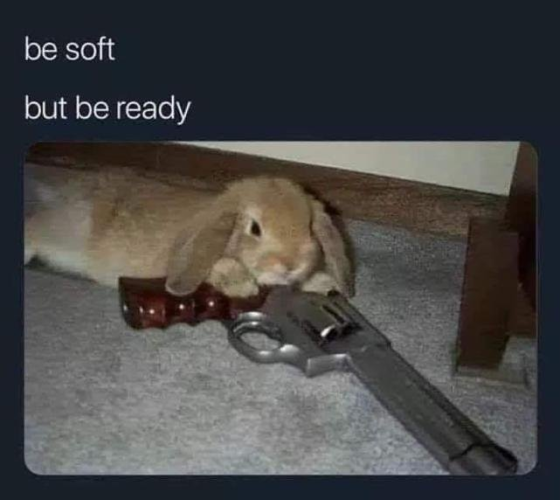 Still image. Bunny with good trigger discipline, chin resting on a long barreled magnum revolver with wooden furniture. 

Top text:
be soft
but be ready