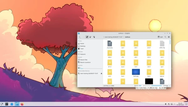 Screenshot of the KDE Plasma desktop environment showing the Dolphin file manager.