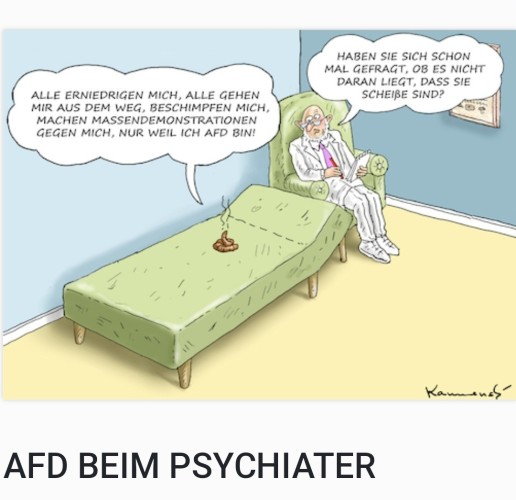 Ein Cartoon von Marian Kamensky mit dem Untertitel "AfD beim Psychiater"

Ein Kothaufen liegt auf einem Sofa, daneben sitzt ein Mann in einem Stuhl. 

Sprechblase über dem Kothaufen: "Alle erniedrigen mich, alle gehen mir aus dem Weg, beschimpfen mich, machen Massendemonstrationen gegen mich, nur weil ich AfD bin!"

Sprechblase über dem Mann im Sofa: "Haben Sie sich schon mal gefragt, ob es nicht daran liegt, dass sie Scheiße sind?"
