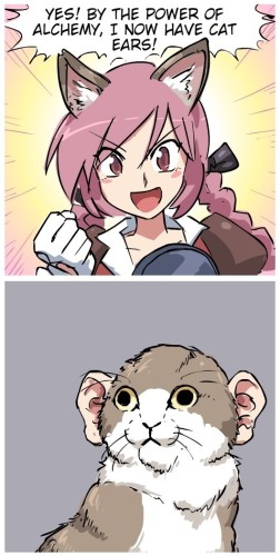 Two panel anime meme:

First panel is s catgirl saying "Yes! By the power of alchemy, I now have cat ears!"

Second panel is a cat with human ears looking nonplussed.