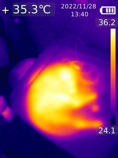 Image from a thermal camera showing a warm cat-shaped spot on a chair where cat was lounging seconds before the shot