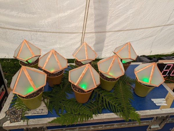 A few pyramid-shaped things in flower pots standing on a crate. They are made from translucent Plexiglas and have copper edges. Inside there's an LED glowing green. Between them, there are fern leaves.