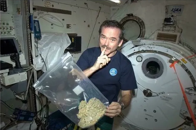 Astronaut Chris Hadfield inside the ISS holding a comically large bag of cannabis while giving a hush gesture to the camera 