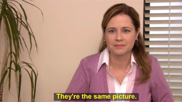 Pam, from The Office, saying "They're the same picture"