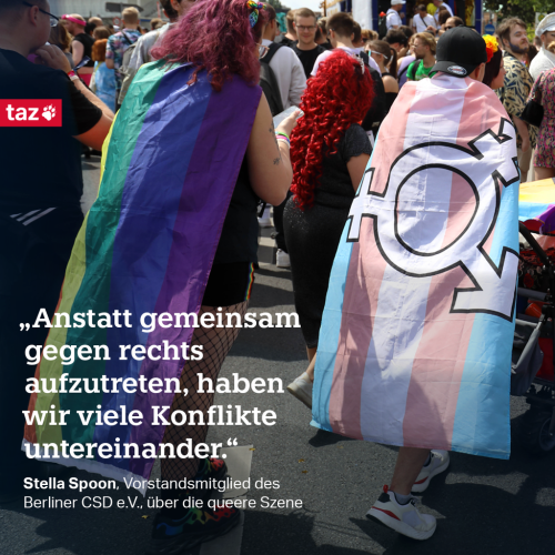 Bildbeschreibung: Das Bild zeigt viele Menschen beim CSD, viele haben sich verschiedene Pride-Flaggen umgehängt. Dazu der Text: 1) „Anstatt gemeinsam gegen Rechts aufzutreten, haben wir viele Konflikte untereinander.“ Stella Spoon, Vorstandsmitglied des Berliner CSD e.V., über die queere Szene
