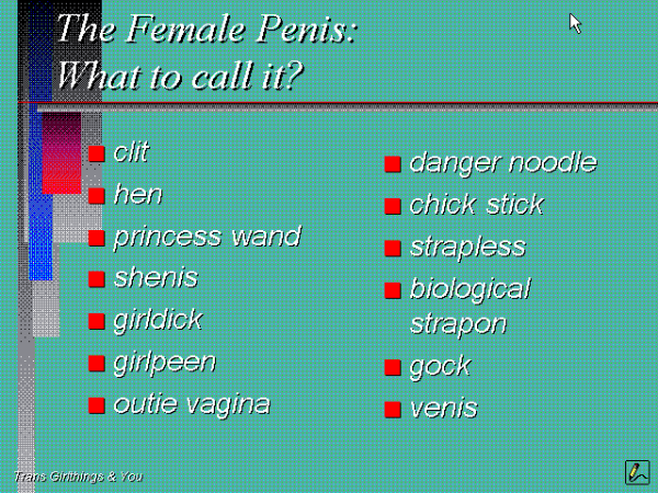 A Powerpoint 4.0 slide, in 16 colors.
The slide title is "The Female Penis: What to call it?"
and then two columns of bullet points:
"cli/hen/princess wand/shenis/girldick/girlpeen/outie vagina/danger noodle/chick stick/strapless/biological strapon/gock/venis"
at the bottom there's a presentation title: "trans girlthings & you"