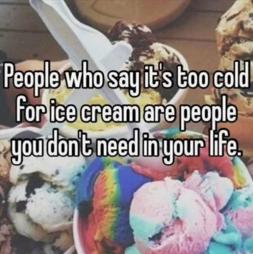 A picture of ice creams, with the text "People who say it's too cold for ice cream are people you don't need in your life"